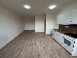 Pronájem bytu 1+kk, Radnice, náměstí Kašpara Šternberka, 38 m2