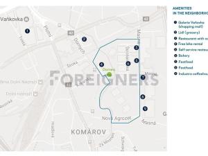 Pronájem bytu 1+kk, Brno, Dornych, 24 m2