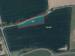 Prodej pozemku, Račice, 8045 m2