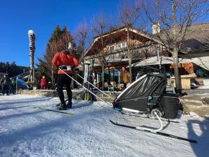 Prodej rodinného domu, Kvilda, 408 m2