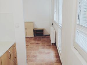 Pronájem bytu 1+kk, Hradec Králové - Slezské Předměstí, Třebechovická, 31 m2