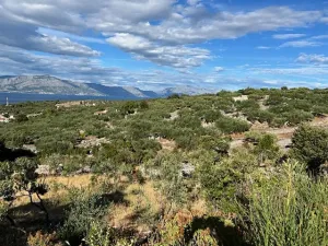 Prodej komerčního pozemku, Škrip, Chorvatsko, 6127 m2