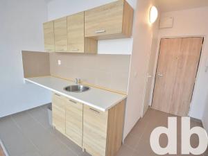 Prodej bytu 1+kk, Nové Sedlo, Sadová, 22 m2