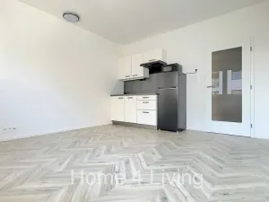 Pronájem bytu 1+kk, Brno, Cejl, 26 m2