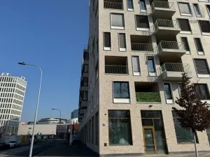 Pronájem bytu 3+kk, Brno, Placzkova, 106 m2