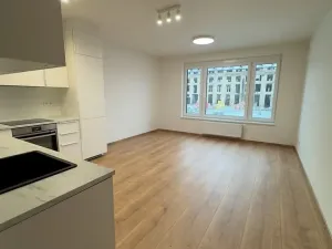 Pronájem bytu 2+kk, Praha - Nové Město, Kolbenova, 54 m2