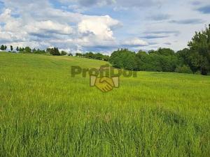 Prodej komerčního pozemku, Valašské Meziříčí, 22154 m2