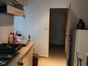 Pronájem bytu 1+1, Vrchlabí, Sv. Čecha, 40 m2