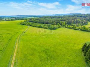 Prodej louky, Lešetice, 10193 m2