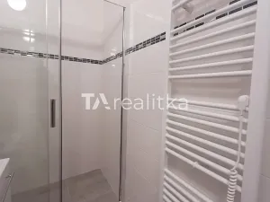 Pronájem bytu 1+kk, Karviná, tř. 17. listopadu, 32 m2