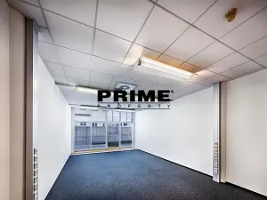 Pronájem kanceláře, Praha - Nové Město, Krakovská, 500 m2