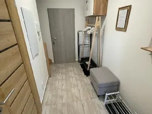 Pronájem bytu 2+kk, Černý Důl, 61 m2