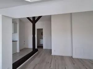 Pronájem bytu 1+kk, Praha - Bubeneč, U zeměpisného ústavu, 34 m2