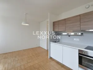 Pronájem bytu 1+kk, Praha - Vinohrady, Lucemburská, 30 m2