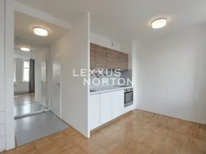 Pronájem bytu 1+kk, Praha - Vinohrady, Lucemburská, 30 m2