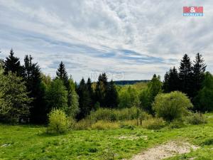 Prodej chalupy, Nová Ves nad Nisou - Horní Černá Studnice, 120 m2
