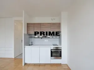 Pronájem bytu 1+kk, Praha - Vinohrady, Lucemburská, 30 m2