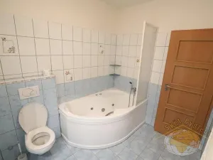 Pronájem bytu 1+kk, Praha - Košíře, Pod školou, 52 m2