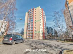 Pronájem bytu 1+1, Ostrava, Pavlouskova, 44 m2