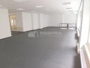 Pronájem obchodního prostoru, Praha - Staré Město, Revoluční, 380 m2