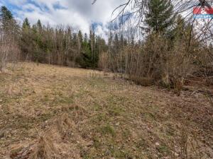 Prodej rodinného domu, Zubří, Pod Obecníkem, 100 m2