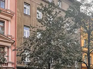 Prodej obchodního prostoru, Praha - Vinohrady, Velehradská, 16 m2