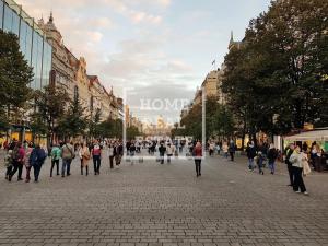 Pronájem bytu 2+1, Praha - Nové Město, Senovážné náměstí, 88 m2