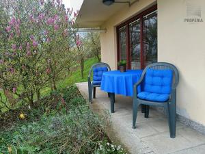 Pronájem bytu 2+1, Brno, Březová, 52 m2