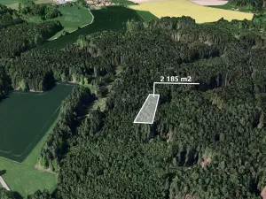 Prodej lesa, Studený, 2185 m2