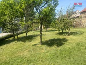 Prodej pozemku pro bydlení, Čížová - Borečnice, 605 m2