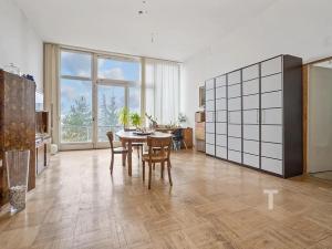 Prodej atypického bytu, Brno, Kalvodova, 238 m2