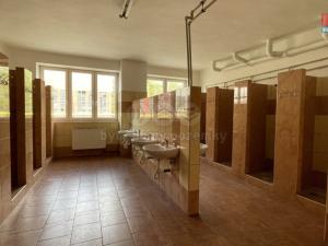 Pronájem výrobních prostor, Studénka, 2000 m2