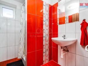 Prodej rodinného domu, Nové Město pod Smrkem, Železná, 281 m2