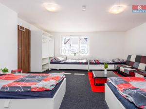 Prodej rodinného domu, Nové Město pod Smrkem, Železná, 281 m2