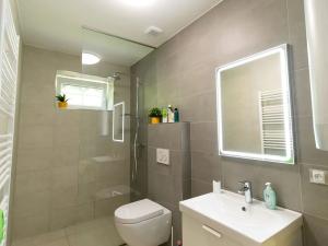 Prodej bytu 1+kk, Janov nad Nisou, 28 m2