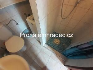 Pronájem bytu 1+1, Hradec Králové, Dubinská, 40 m2