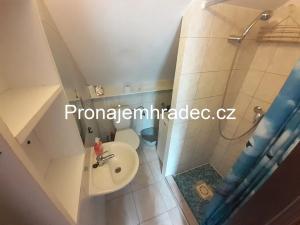Pronájem bytu 1+1, Hradec Králové, Dubinská, 40 m2