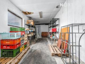 Prodej obchodního prostoru, Žandov, 465 m2