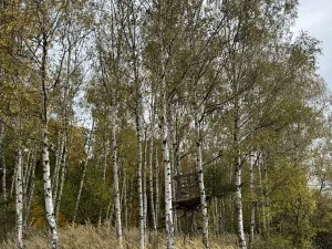 Prodej podílu lesa, Chrášťany, 1669 m2