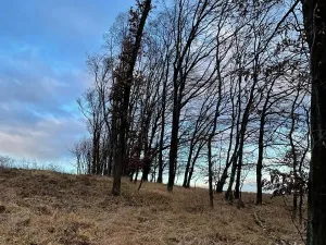 Prodej pozemku, Milešovice, 3628 m2