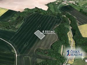 Prodej podílu pole, Okřesaneč, 855 m2