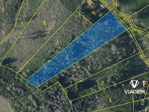 Prodej podílu lesa, Baliny, 3246 m2