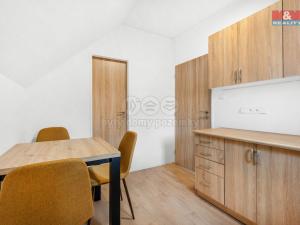 Pronájem bytu 1+kk, Plazy, 23 m2
