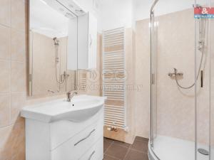 Pronájem bytu 1+kk, Plazy, 23 m2