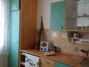 Pronájem bytu 1+1, Plzeň, Manětínská, 40 m2