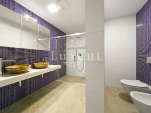 Pronájem bytu 4+kk, Plzeň, Šafaříkovy sady, 186 m2