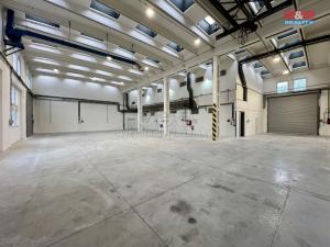 Pronájem výrobních prostor, Město Albrechtice, L. Janáčka, 410 m2