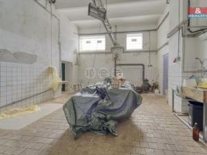 Prodej výrobních prostor, Starý Kolín, Za poštou, 3398 m2