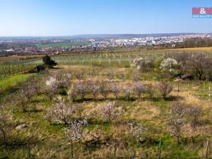 Prodej zahrady, Dobšice, 2462 m2