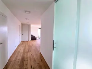Pronájem bytu 3+kk, Praha - Smíchov, U Dívčích hradů, 119 m2